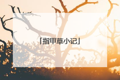指甲草小记