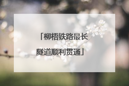 柳梧铁路最长隧道顺利贯通