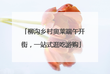 柳沟乡村奥莱端午开街，一站式逛吃游购
