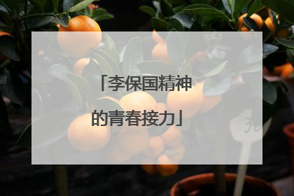 李保国精神的青春接力