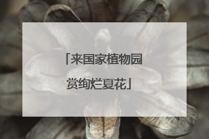 来国家植物园 赏绚烂夏花