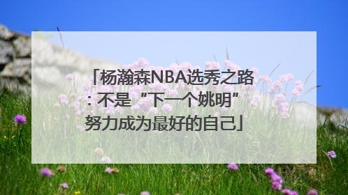 杨瀚森NBA选秀之路：不是“下一个姚明” 努力成为最好的自己