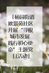 杨园街道欧景苑社区开展“寻根城市发展 践行初心使命”主题党日活动