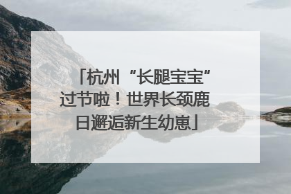 杭州“长腿宝宝”过节啦！世界长颈鹿日邂逅新生幼崽