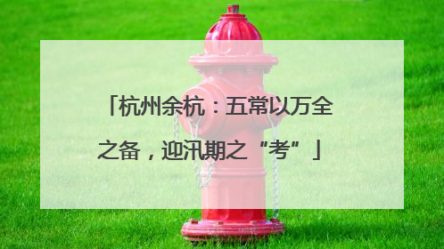 杭州余杭：五常以万全之备，迎汛期之“考”