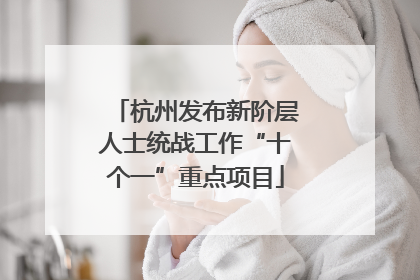 杭州发布新阶层人士统战工作“十个一”重点项目