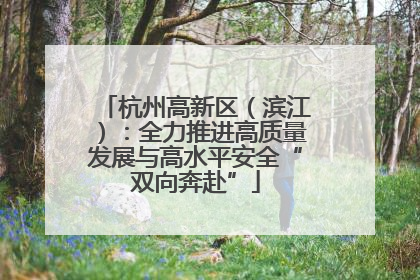 杭州高新区（滨江）：全力推进高质量发展与高水平安全“双向奔赴”