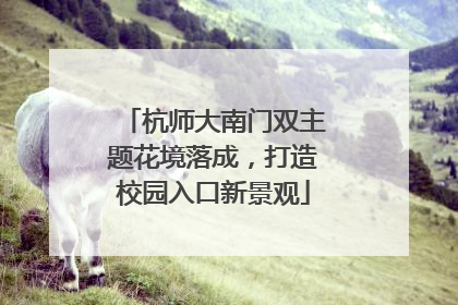 杭师大南门双主题花境落成，打造校园入口新景观