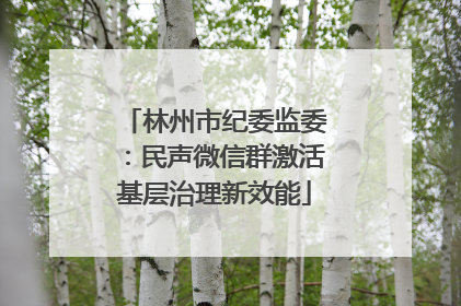 林州市纪委监委：民声微信群激活基层治理新效能