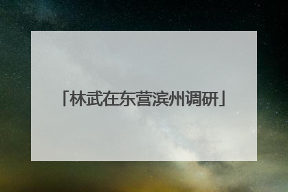 林武在东营滨州调研