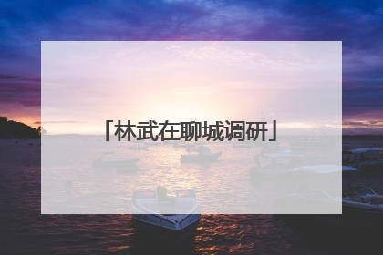 林武在聊城调研