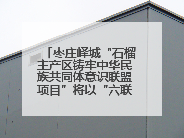 枣庄峄城“石榴主产区铸牢中华民族共同体意识联盟项目”将以“六联”活动为抓手深化品牌建设