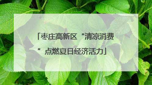 枣庄高新区“清凉消费”点燃夏日经济活力