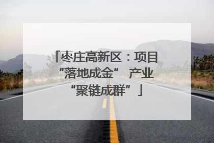 枣庄高新区：项目“落地成金” 产业“聚链成群”