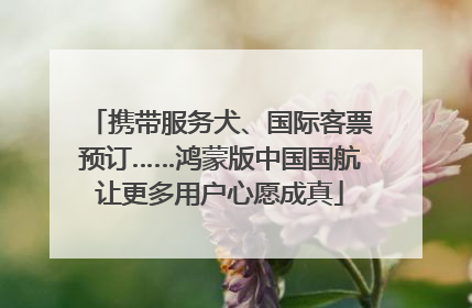 携带服务犬、国际客票预订……鸿蒙版中国国航让更多用户心愿成真