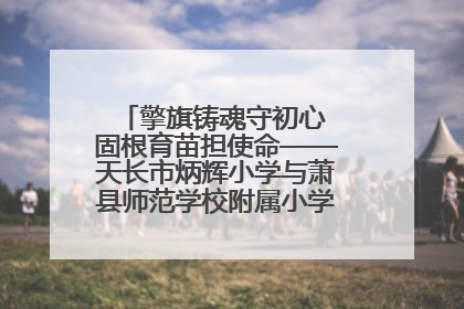 擎旗铸魂守初心 固根育苗担使命——天长市炳辉小学与萧县师范学校附属小学结对共建活动纪实