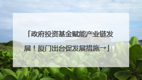 政府投资基金赋能产业链发展！厦门出台促发展措施→