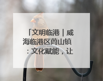 文明临港｜威海临港区蔄山镇：文化赋能，让群众家门口尽享幸福生活