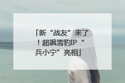 新“战友”来了！超飒雪豹IP“兵小宁”亮相