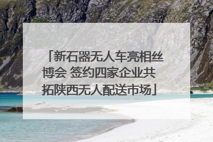 新石器无人车亮相丝博会 签约四家企业共拓陕西无人配送市场