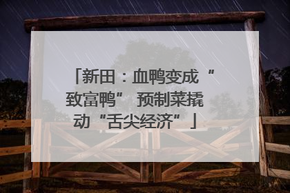 新田：血鸭变成“致富鸭” 预制菜撬动“舌尖经济”