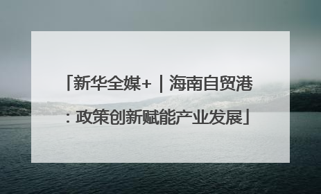新华全媒+｜海南自贸港：政策创新赋能产业发展