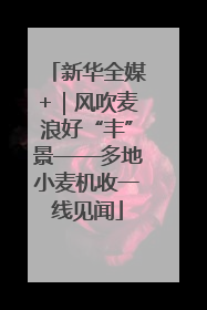 新华全媒+｜风吹麦浪好“丰”景——多地小麦机收一线见闻