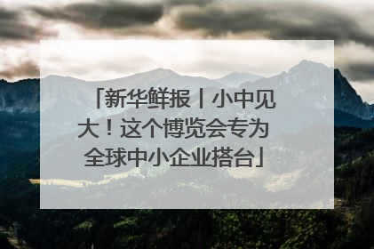 新华鲜报丨小中见大！这个博览会专为全球中小企业搭台