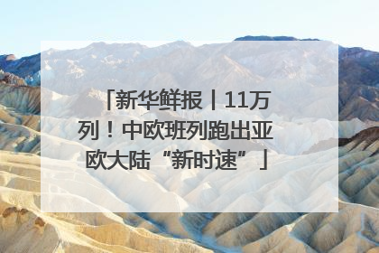 新华鲜报丨11万列！中欧班列跑出亚欧大陆“新时速”