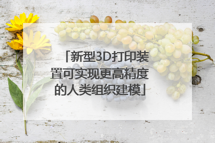 新型3D打印装置可实现更高精度的人类组织建模