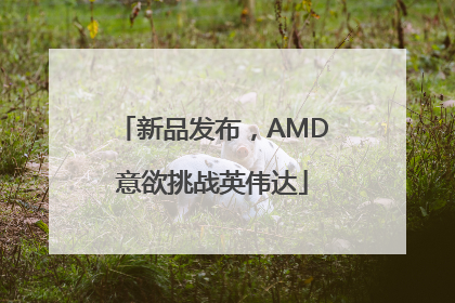 新品发布，AMD意欲挑战英伟达