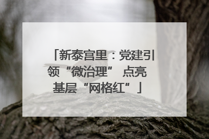新泰宫里：党建引领“微治理” 点亮基层“网格红”