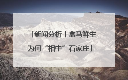新闻分析丨盒马鲜生为何“相中”石家庄