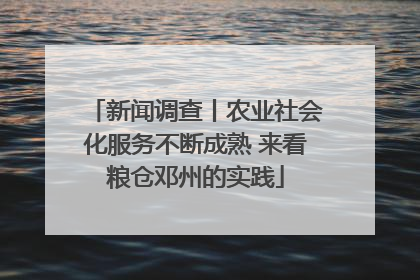 新闻调查丨农业社会化服务不断成熟 来看粮仓邓州的实践