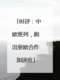 时评：中欧班列，跑出亚欧合作加速度