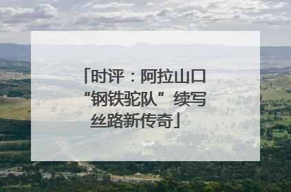 时评：阿拉山口“钢铁驼队”续写丝路新传奇