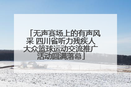 无声赛场上的有声风采 四川省听力残疾人大众篮球运动交流推广活动圆满落幕