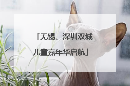 无锡、深圳双城儿童嘉年华启航