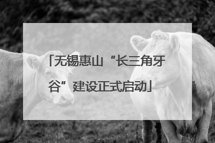 无锡惠山“长三角牙谷”建设正式启动
