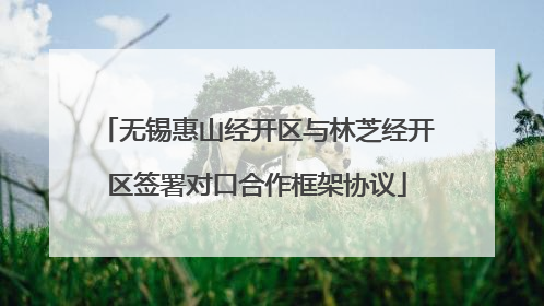 无锡惠山经开区与林芝经开区签署对口合作框架协议