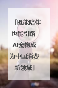 既能陪伴也能引路 AI宠物成为中国消费新领域