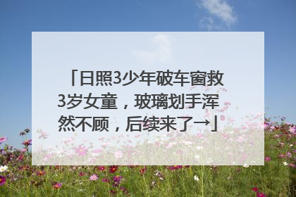 日照3少年破车窗救3岁女童，玻璃划手浑然不顾，后续来了→