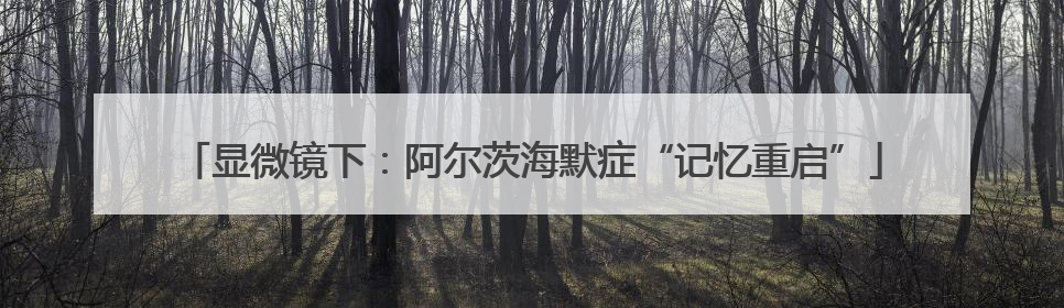 显微镜下：阿尔茨海默症“记忆重启”