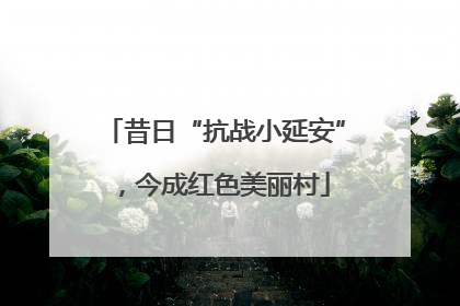 昔日“抗战小延安”，今成红色美丽村