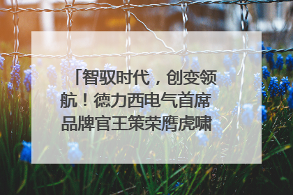 智驭时代，创变领航！德力西电气首席品牌官王策荣膺虎啸奖年度品牌人物