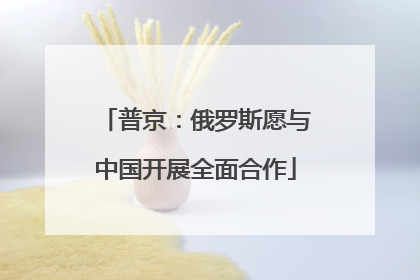 普京：俄罗斯愿与中国开展全面合作