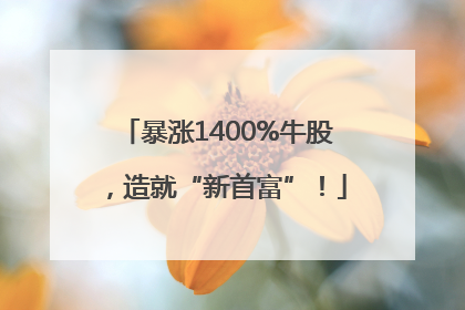 暴涨1400%牛股，造就“新首富”！