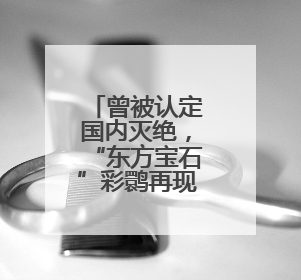 曾被认定国内灭绝，“东方宝石”彩鹮再现孟津黄河湿地