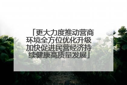 更大力度推动营商环境全方位优化升级加快促进民营经济持续健康高质量发展
