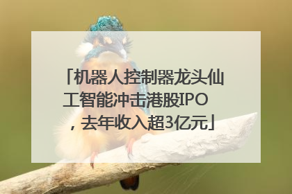 机器人控制器龙头仙工智能冲击港股IPO，去年收入超3亿元